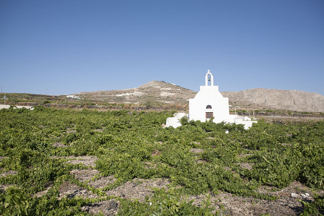 What to do in Santorini: wine tour