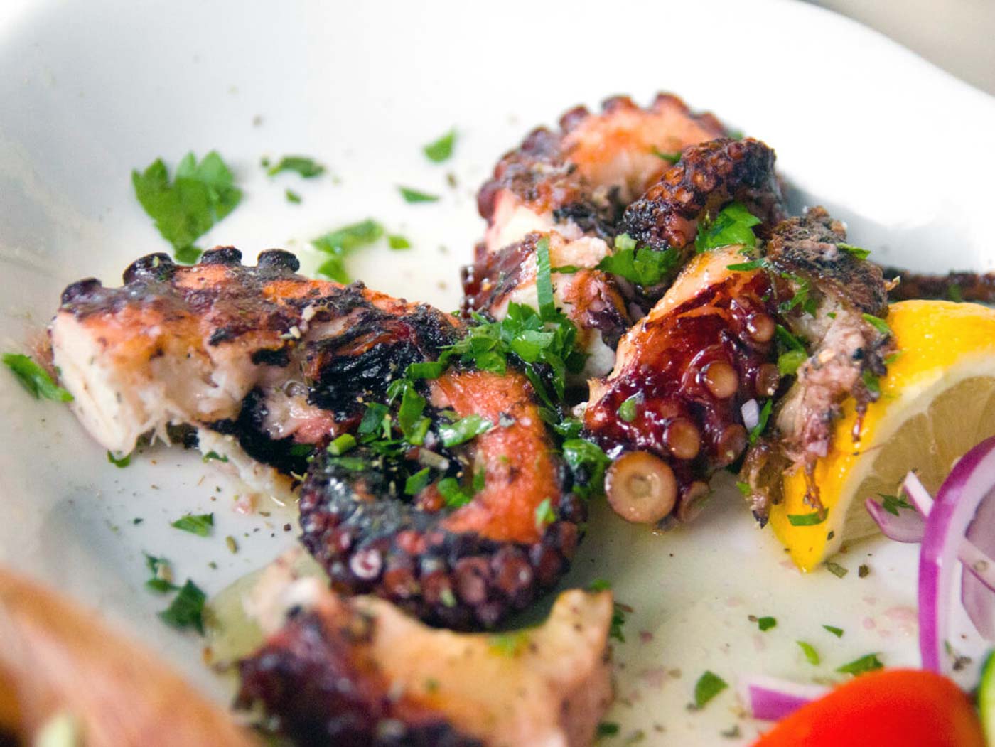 octopus grilled