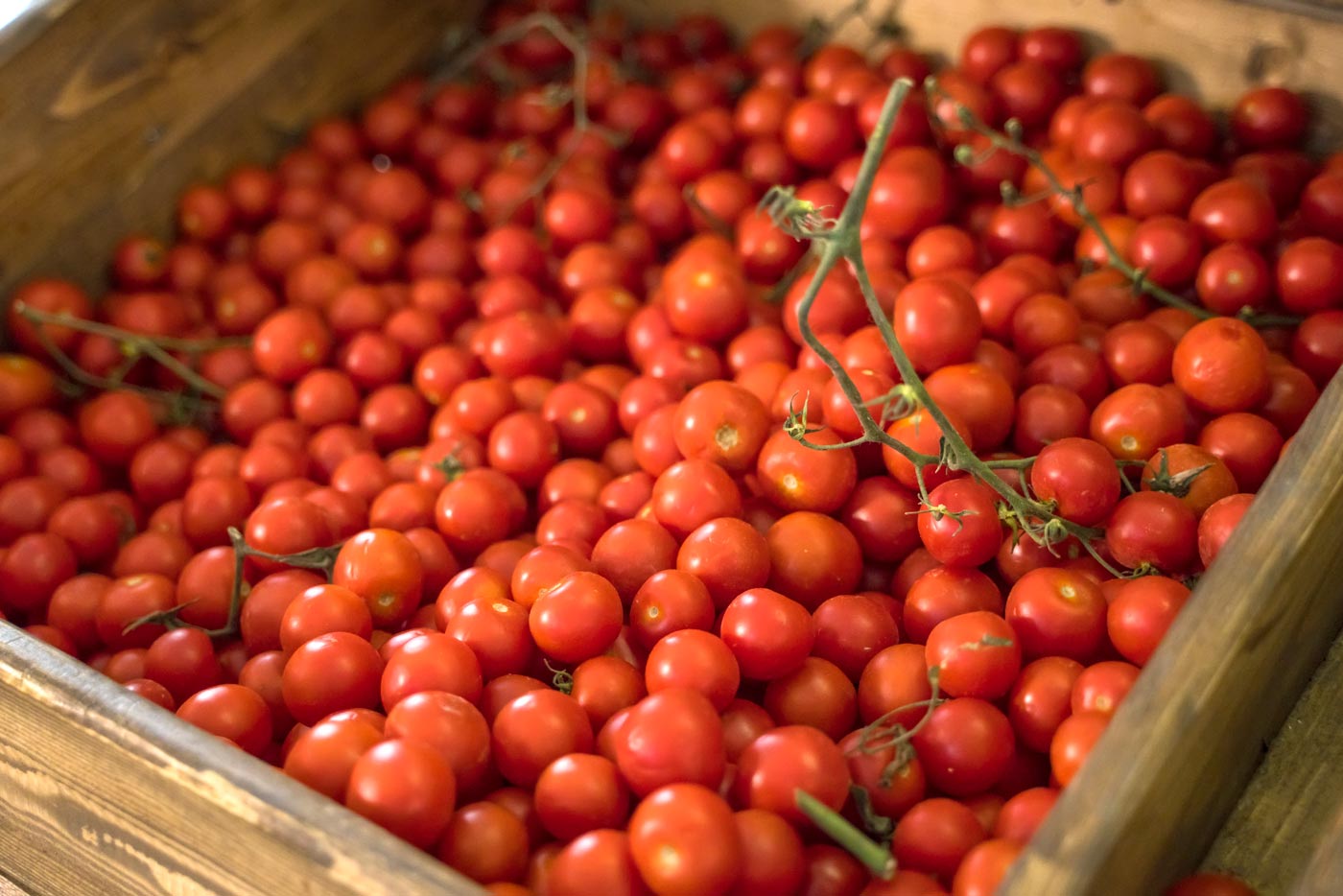 santorini cherry tomatoes