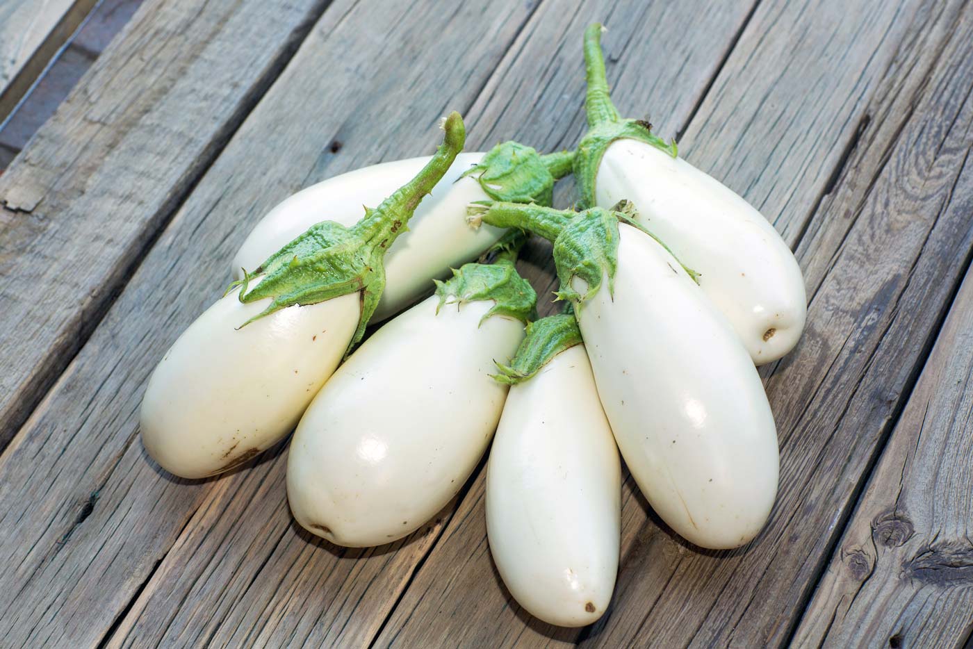 white eggplants