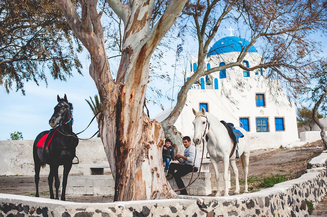 Horses near beautiful church in Santorini