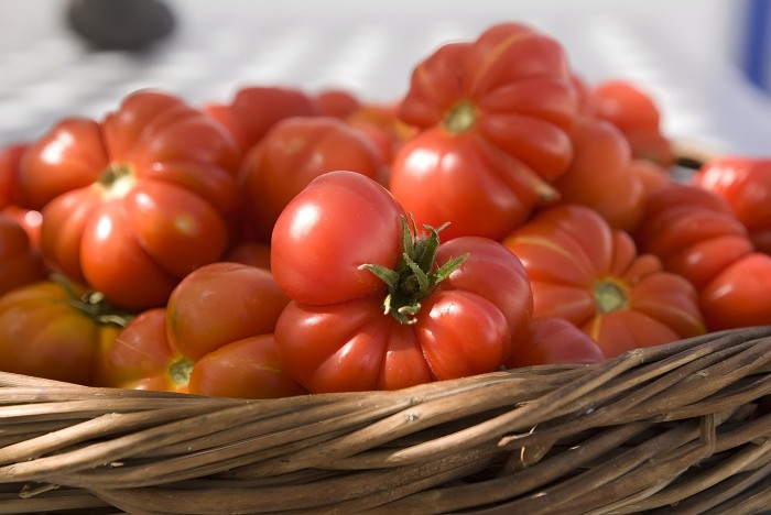 Santorini Cherry Tomatos Food Tour