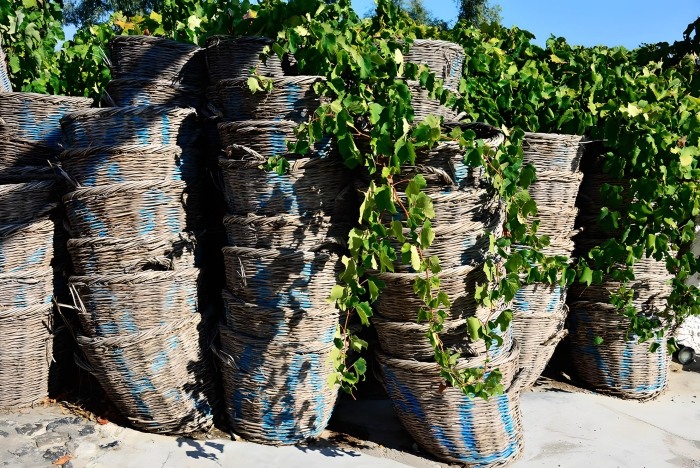 Baskets For Grapes In Santorini, Photo From Wine Tour