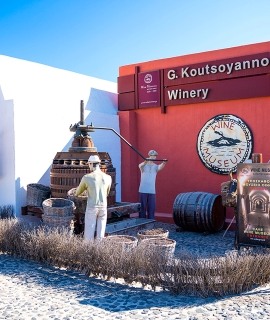 Wine Museum