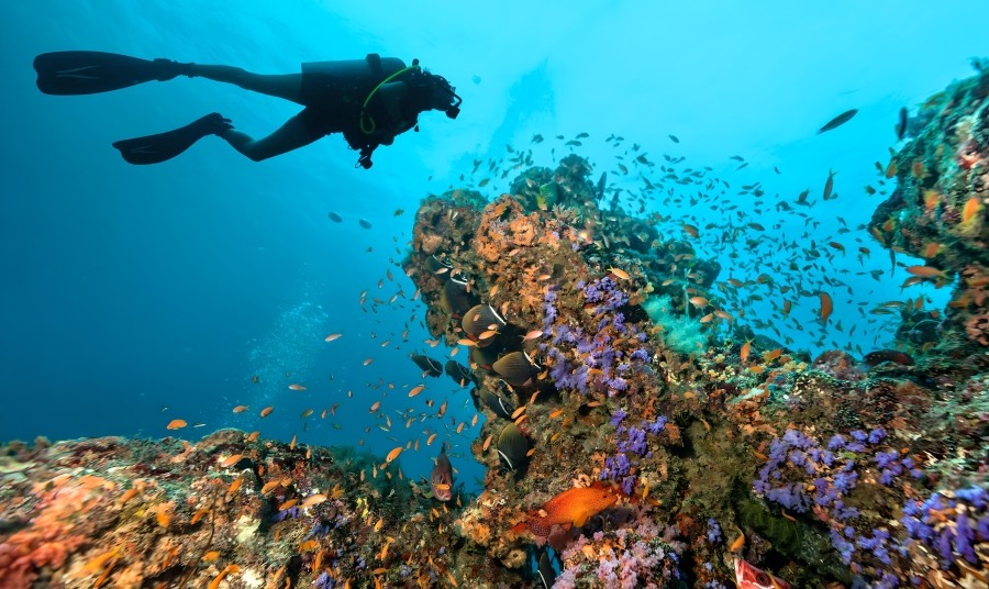 Diving In Santorini