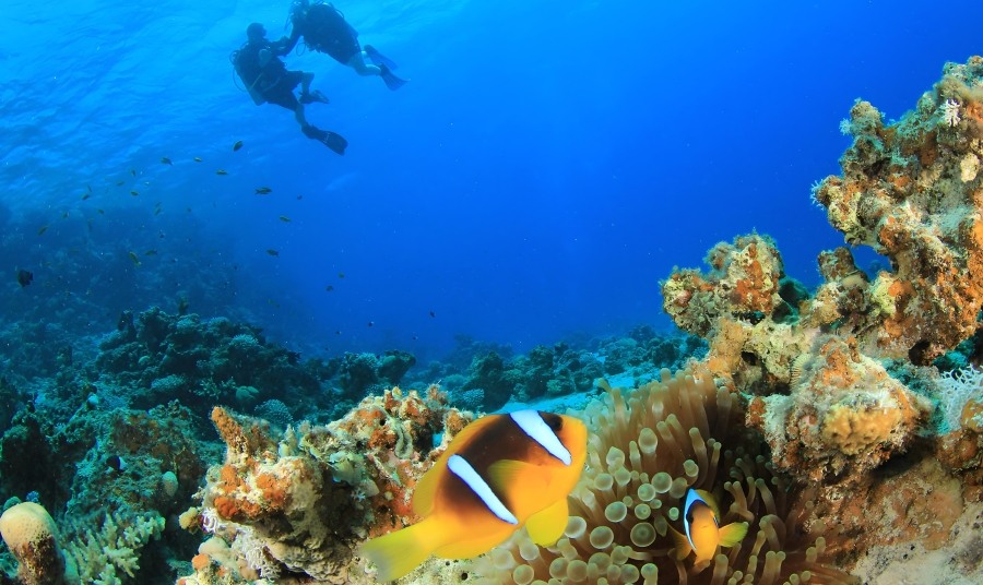 Santorini Diving