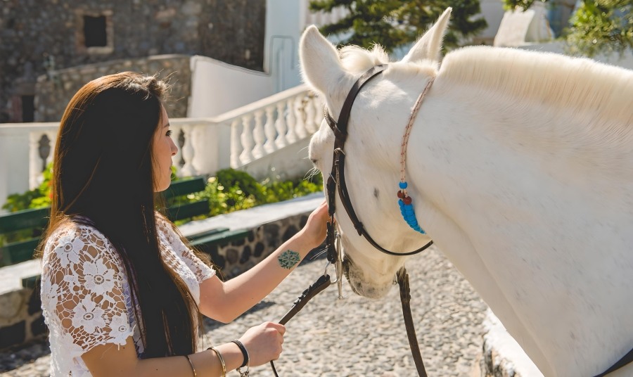 Santorini Horse Riding Megalochori