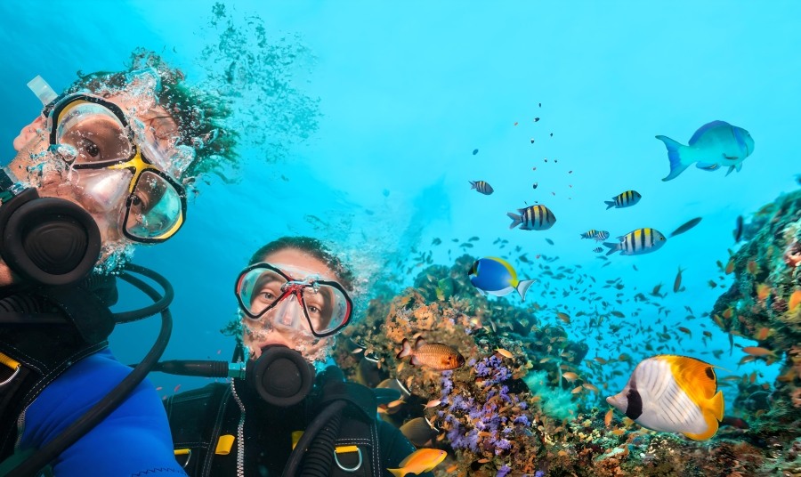 Scuba Diving