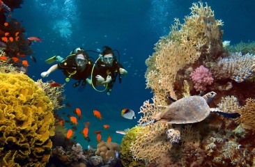 Scuba Diving Couple